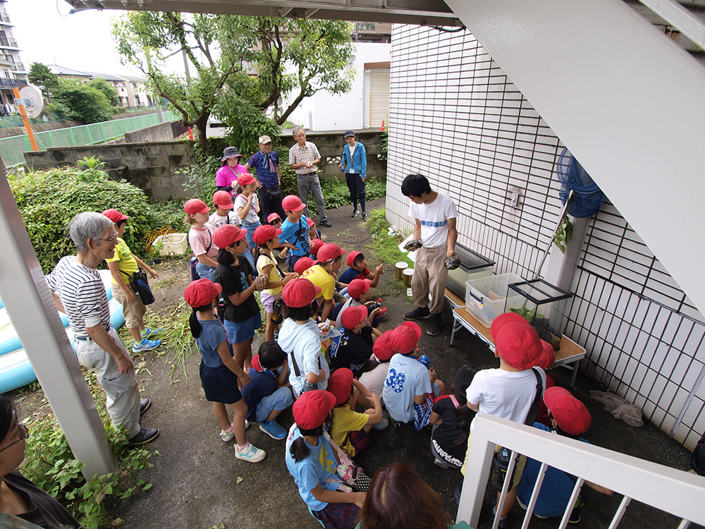 平作川で「外来種生物を学ぶ教室」
