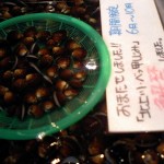 北上川 べっ甲「しじみ」（鮮魚「おさかなや」さん）