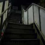 猫が寝床に向かう時間