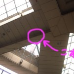 商店街のつばめ