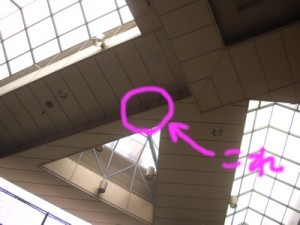 商店街のつばめ