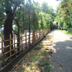 妙蔵寺 参道の竹垣