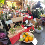 衣笠商店街 ベストフラワー