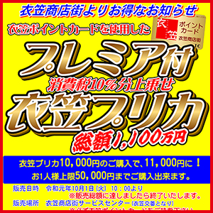 プレミア付「衣笠プリカ」